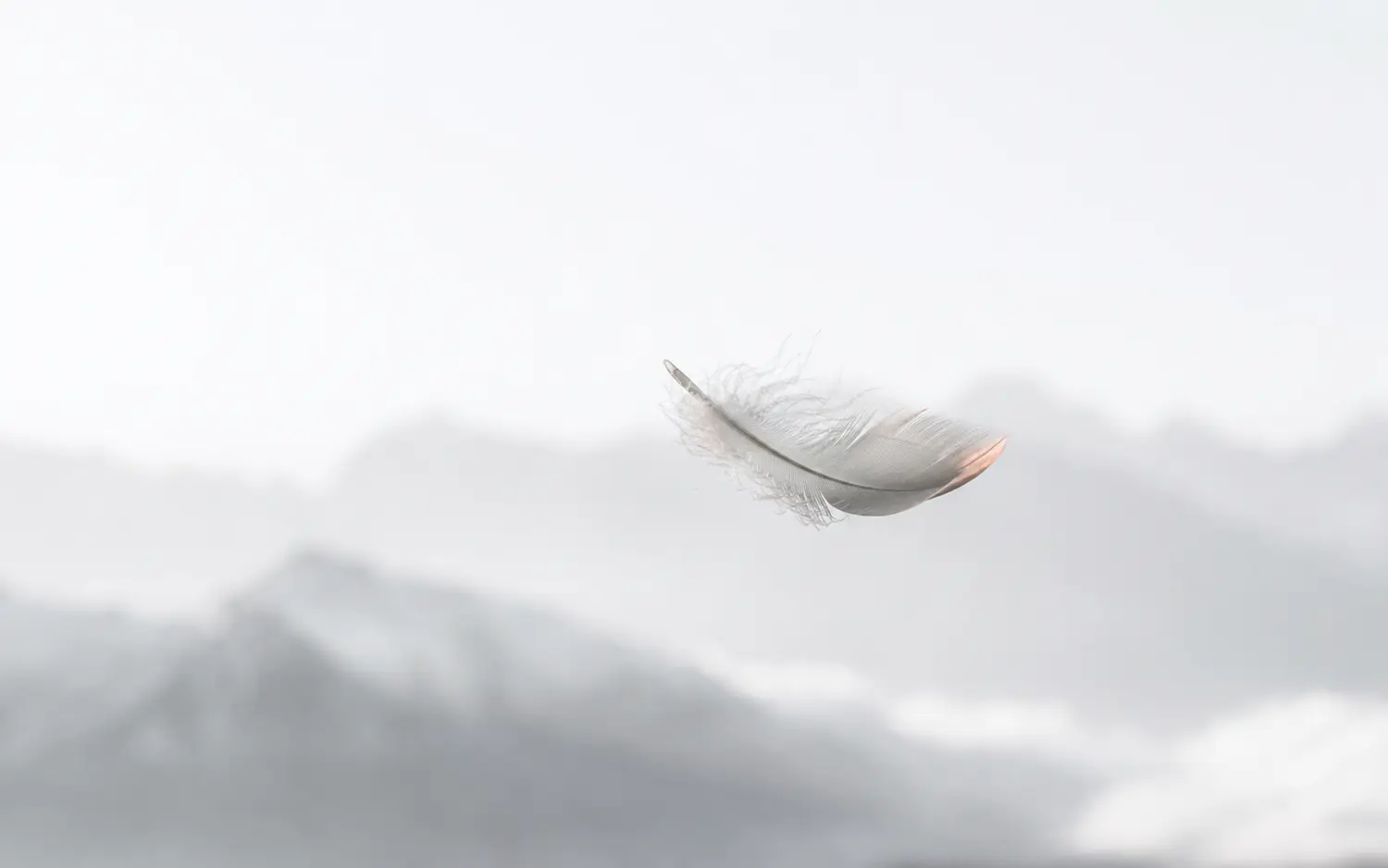 Feder in leichter alpiner Luft